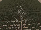 max_maze_1.jpg